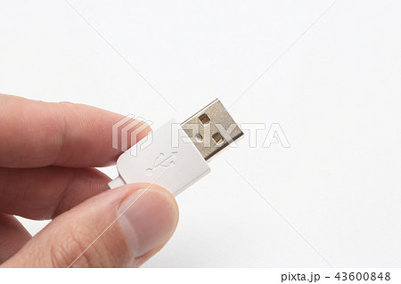 USB 端子 種類 USB 端子 種類 43600848