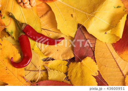 autumn harvest - fruits on fallen yellow leaves 43600951