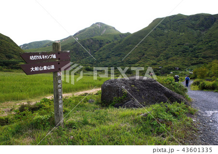 吉部登山口から坊ヶつるへのトレッキングコース　秋の気配を感じる季節 43601335