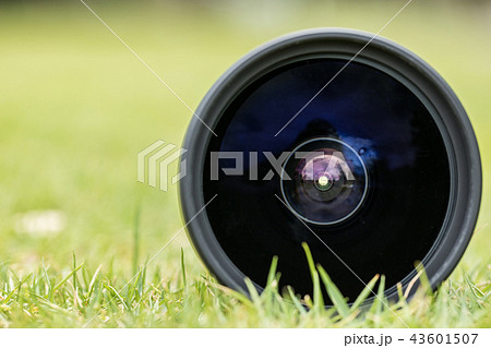 カメラ機材と芝生 単焦点 カメラ機材と芝生 単焦点 43601507