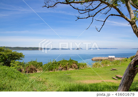 海辺の風景 海辺の風景 43601679