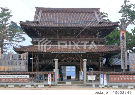 善徳寺 善徳寺 43602249