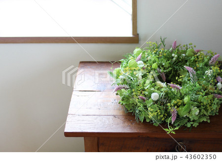 紫陽花の夏リース-4 紫陽花の夏リース-4 43602350