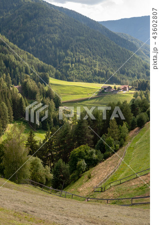 The Italian Dolomites 43602807