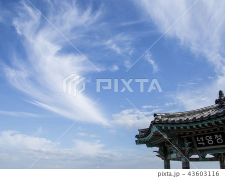 徳陽区 高陽市 コヤンシ 43603116
