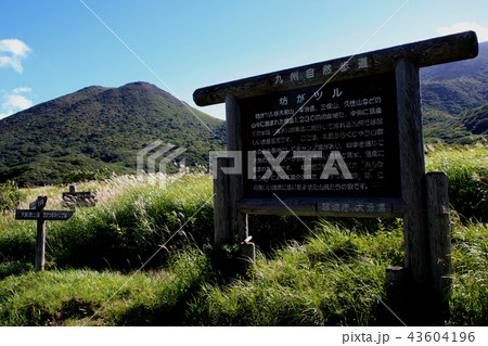 吉部登山口から坊ヶツルへのトレッキングコース　秋の気配を感じる季節 43604196