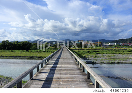 蓬萊橋(静岡県島田市） 43604256