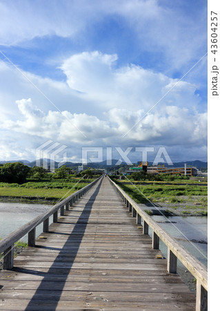 蓬萊橋(静岡県島田市） 43604257