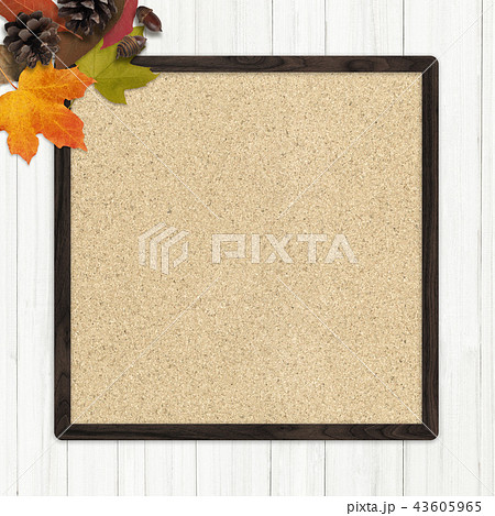 背景-秋-落ち葉-木の実-フレーム 背景-秋-落ち葉-木の実-フレーム 43605965