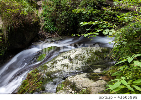払沢の滝、遊歩道からの景色、渓流 43605998