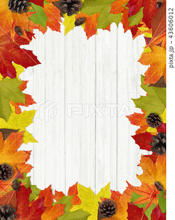 背景 秋 落ち葉 木の実 フレームのイラスト素材