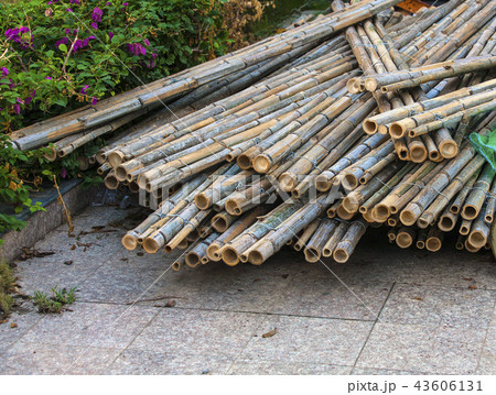 The connected dry bamboo wood 43606131