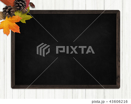 背景-秋-落ち葉-木の実-フレーム 背景-秋-落ち葉-木の実-フレーム 43606216