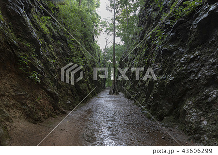 カンチャナブリの泰緬鉄道跡ヘルファイア・パス カンチャナブリの泰緬鉄道跡ヘルファイア・パス 43606299