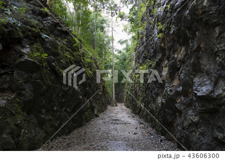 カンチャナブリの泰緬鉄道跡ヘルファイア・パス カンチャナブリの泰緬鉄道跡ヘルファイア・パス 43606300