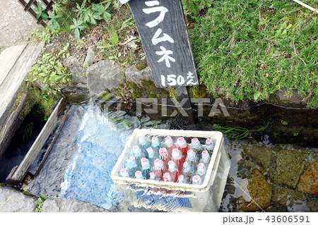 川の冷蔵庫 43606591