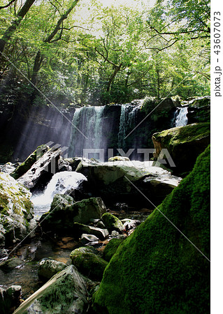 吉部登山口から坊ヶつるへの登山コース　暮雨の滝 43607073