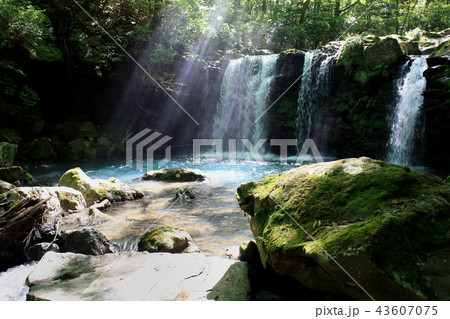 吉部登山口から坊ヶつるへの登山コース 暮雨の滝 吉部登山口から坊ヶつるへの登山コース 暮雨の滝 43607075