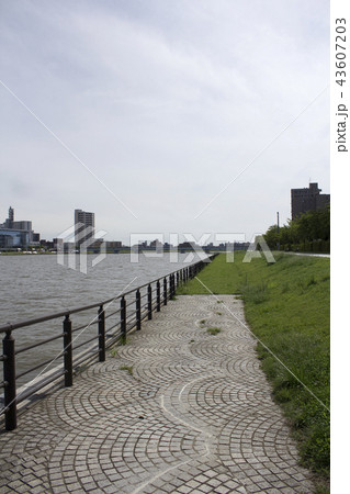 新潟市風景 43607203