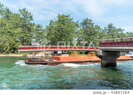 天橋立 廻旋橋 43607264