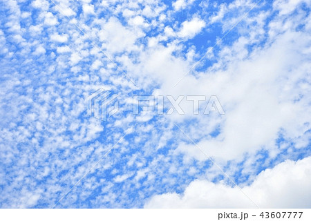 青空に広がるウロコ雲 43607777