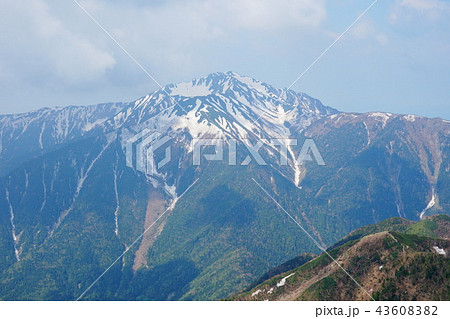 甲斐駒ヶ岳からの仙丈ヶ岳 43608382