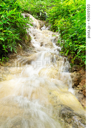 green forest waterfall 43609503