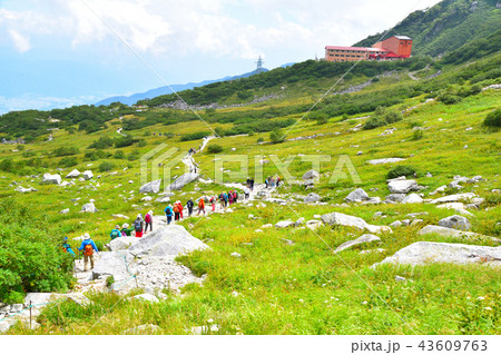 千畳敷カール　登山道 43609763