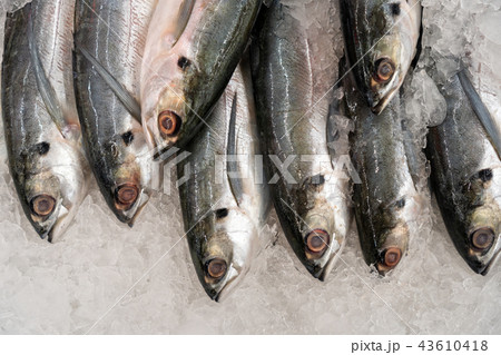 Fresh fish on ice in the fresh market. Fresh fish on ice in the fresh market. 43610418