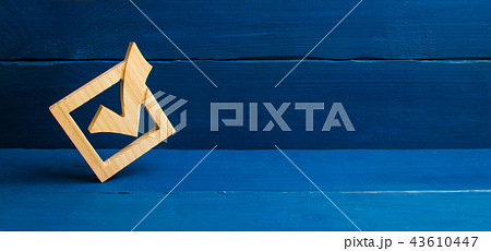 tick in government elections. Choice of candidate 43610447