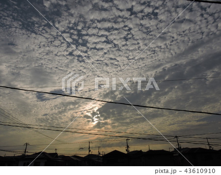 街の風景　早朝の曇り空 43610910