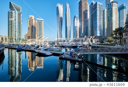 Dubai marina skyline in United Arab Emirates 43611609