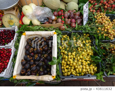 広東省の公共市場 43611632