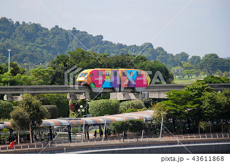 シンガポール、リゾート地・セントーサ島と本島側をつなぐモノレール ブラニ島のキリン(クレーン)の前を シンガポール、リゾート地・セントーサ島と本島側をつなぐモノレール ブラニ島のキリン(クレーン)の前を 43611868