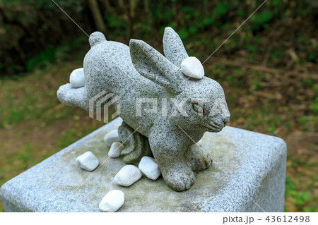 白兎神社、うさぎの石像 43612498