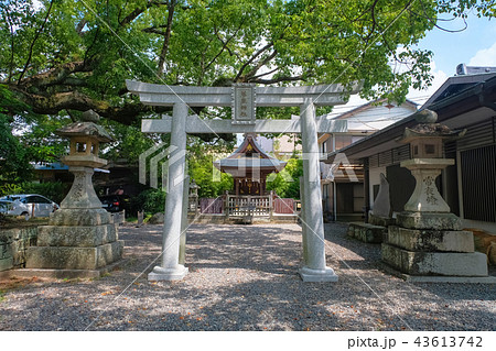 田辺市 闘鶏神社 藤巖神社 田辺市 闘鶏神社 藤巖神社 43613742