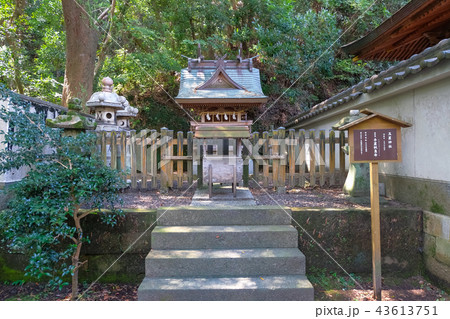 田辺市 闘鶏神社 玉置神社 田辺市 闘鶏神社 玉置神社 43613751