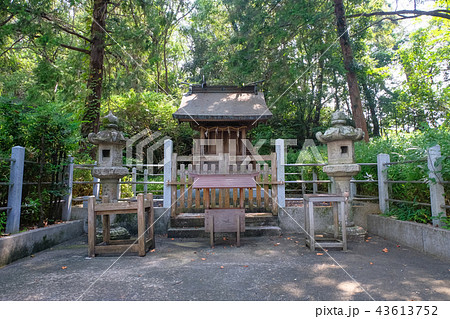 田辺市 闘鶏神社 戎大黒神社 田辺市 闘鶏神社 戎大黒神社 43613752