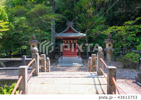 田辺市 闘鶏神社 鶏姫弁財天神社 田辺市 闘鶏神社 鶏姫弁財天神社 43613753
