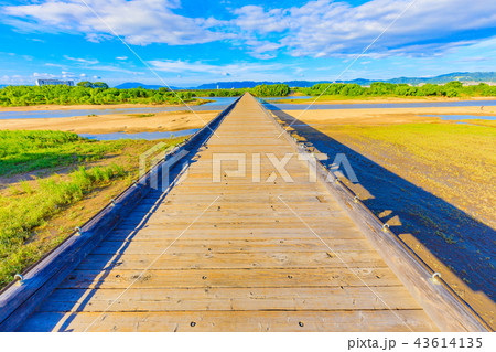 京都　木津川流れ橋（上津屋橋） 43614135
