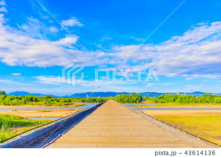 京都　木津川流れ橋（上津屋橋） 43614136