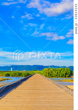 京都　木津川流れ橋（上津屋橋） 43614143
