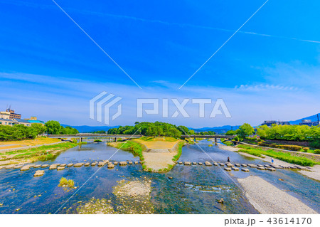 京都　初夏の鴨川デルタ 43614170