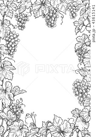 Monochrome Grape Branches Vertical Frameのイラスト素材