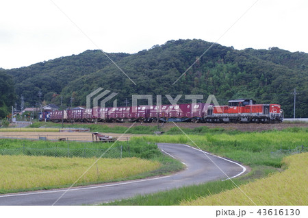 山陰本線 迂回 貨物列車6 山陰本線 迂回 貨物列車6 43616130