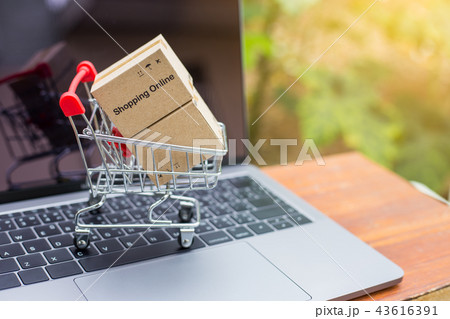 Shopping online concept Shopping online concept 43616391