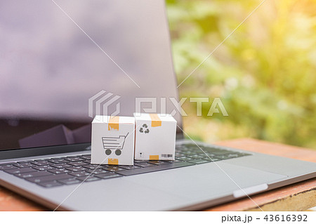 Idea of shopping online and service / e-commerce. Idea of shopping online and service / e-commerce. 43616392