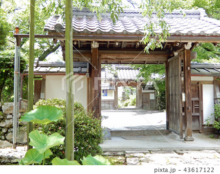 西教寺 参道の里坊より門を望む 西教寺 参道の里坊より門を望む 43617122