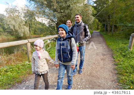 family with backpacks hiking or walking in woods family with backpacks hiking or walking in woods 43617611
