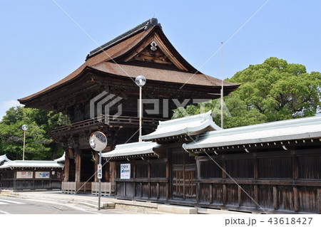 稲沢国府宮神社 稲沢国府宮神社 43618427